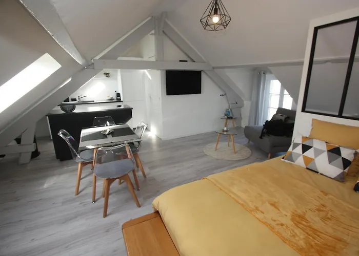 DU SEL A LA VIE, grand studio entre marais et océan