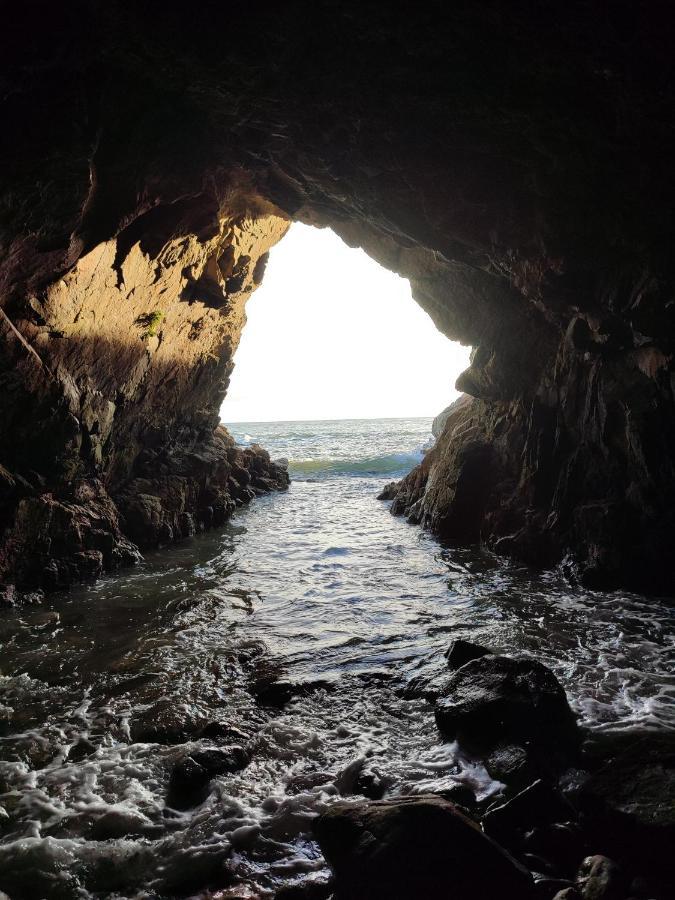 Du Sel A La Vie, Grand Entre Marais Et Ocean